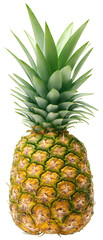 Single ripe pineapple isolated - 547963001