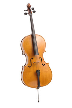 Brown cello instrument