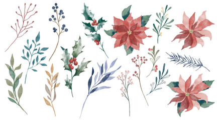 Set of watercolor winter floral elements, greenery and plants. PNG file with separated Watercolor Christmas plants and flowers