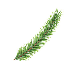 Spruce branch. Green fir. Realistic Christmas tree. Decorative element for new year decoration