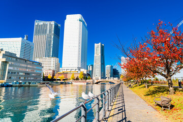 神奈川県　秋の横浜みなとみらい