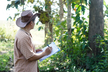 Asian male botanist is inspecting and recording about tree information on paper. Concept : Survey ,research botanical plants. Forest and environment conservation.      