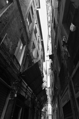 Vertical view of one of the narrow alleys in Genova, Italy. Building facades at both sides. Monochromatic.