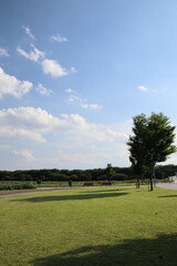 初夏の公園