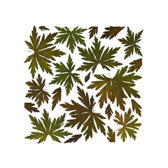 Dried pressed leaves herbarium collage, mosaic in square for wall art, design creation, isolated on white background.