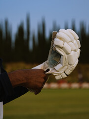 Cricket player wearing gloves
