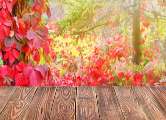 Empty of wood table top on blur of abstract autumn background from foliage of the virgin ivy. For montage product display or design key visual layout