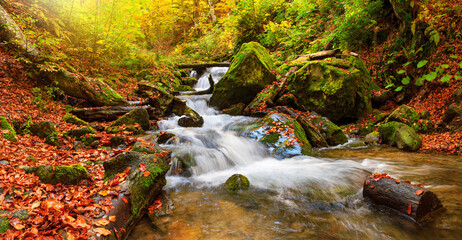 Autumn landscape - view of a mountain river with a cascade of waterfallsin the autumn forest,...