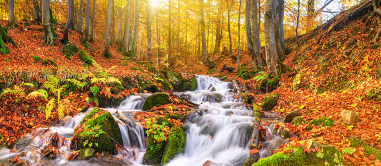 Autumn landscape, panorama, banner - view of a mountain river with a cascade of waterfallsin the...
