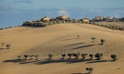 Campi arati sulle colline di Fermo nelle Marche