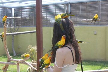 Confident parrots asking for food