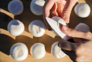 cutting a mushroom with a knife. vegan and vegetarian healthy food