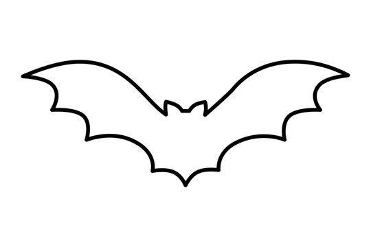 Bat With Wings