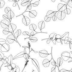 Foliage seamless pattern, eucalyptus leaves and flowers line art ink drawing. Seamless pattern.