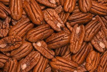 Fototapeta premium Pecan as background. Nut texture