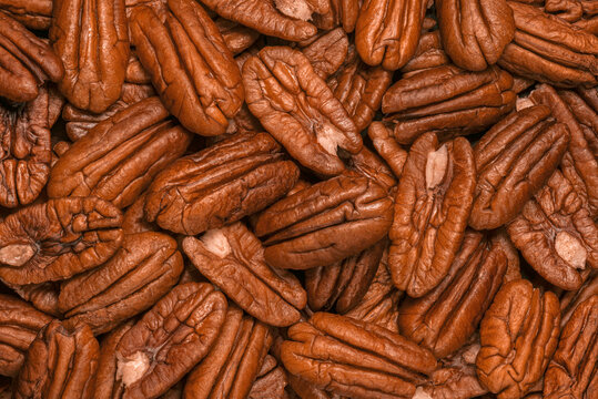 Pecan as background. Nut texture