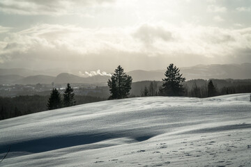 Obraz premium Bymarka park near Trondheim in winter. Norway