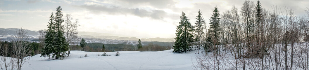 Fototapeta premium Bymarka park near Trondheim in winter. Norway