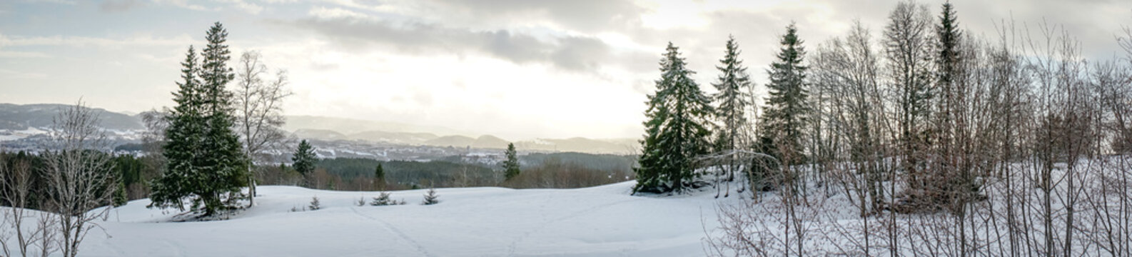 Bymarka park near Trondheim in winter. Norway