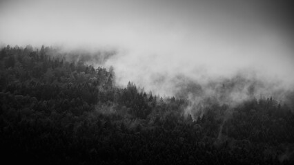 Fototapeta premium Misty day in Velebit mountains, Croatia.