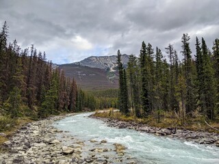 Waterfall and river in the Canadian Rockies.