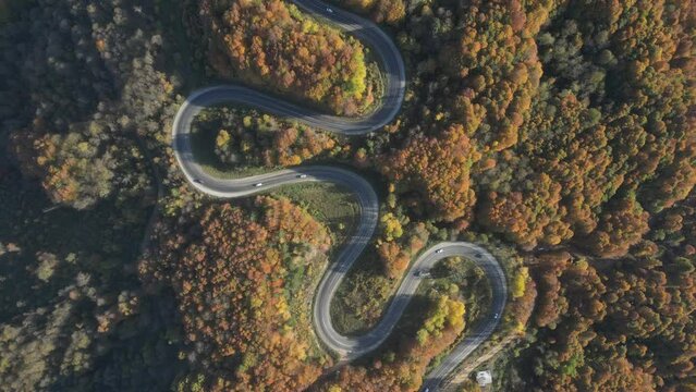 Aerial view of road amidst trees during autumn
