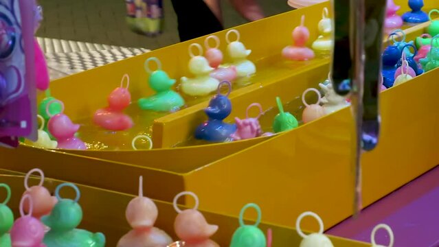 Fun Fair game: catching duckling