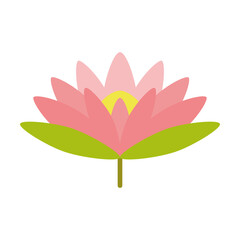 Pink Swamp Lotus flower. Simple flat vector isolated on white background