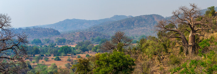 Natural Savanna landscape scene with Africa Baobabs against mountains in park