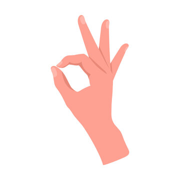 Forefinger and thumb connected OK. Hand gestures cartoon vector illustration. Human palm with finger, showing numbers, direction, symbol and sign. Gesturing concept