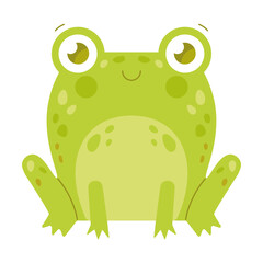 Cute sitting toad or frog character flat vector illustration. Funny drawings of green amphibian isolated on white background. Nature concept