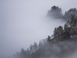 A rocky mountain covered with trees protrudes and rises above the clouds and fog, the ridge of the mountain in the fog in autumn