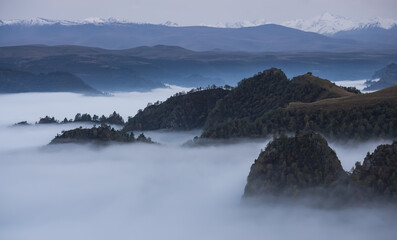 Low clouds in the mountains filled the entire valley and rocky peaks and hills with trees stick out above the clouds, mountains with snow in the background, fog between the mountains on an autumn