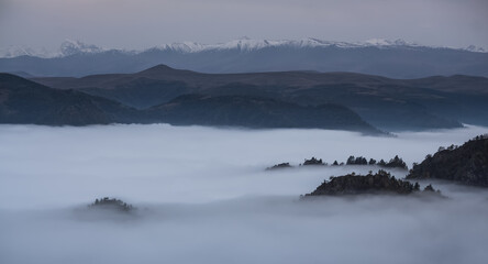 Low clouds in the mountains filled the entire valley and rocky peaks and hills with trees stick out above the clouds, mountains with snow in the background, fog between the mountains on an autumn
