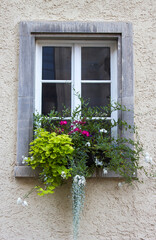 Fototapeta na wymiar Old house in Saalfeld - window with flowers, Germany