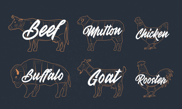Silhouettes of Farm Animals. Cow, Lamb, Chicken, Goat, Buffalo. Vintage sketch set of farm animals. Animals meat. Vector livestock icons. 
