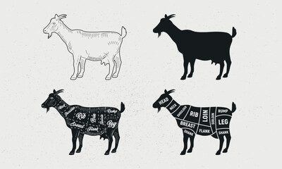 Goat set. Goat silhouette. Goat - butcher diagram template. Cuts of Goat meat. Vintage Posters for groceries, butcher shop, meat store. Vector illustration