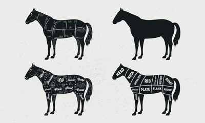 Horse set. Horse silhouette. Horse - butcher diagram template. Cuts of Horse. Vintage Poster for groceries, butcher shop, meat store. Vector illustration