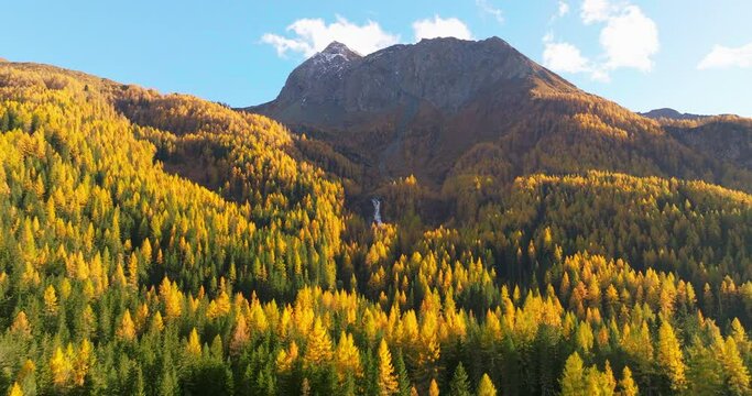 Vast golden autumn alpine Casere mountain valley forest, South Tyrol aerial view at sunrise