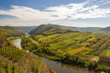 Moselle River in Germany, view of Calmont village and vineyards in the Mosel river valley