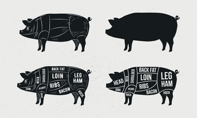 Pig, Pork set. Pig silhouette. Pork - butcher diagram template. Cuts of Pork. Vintage Posters for groceries, butcher shop, meat store. Vector illustration