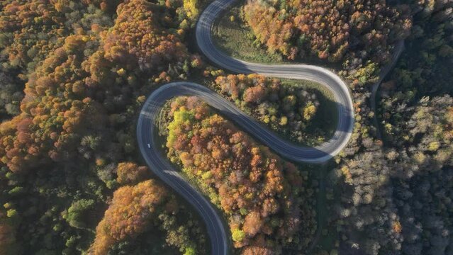 Aerial view of road amidst trees during autumn
