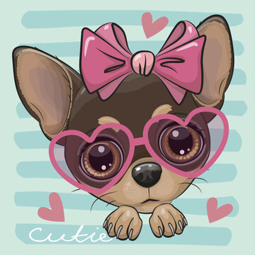 Chihuahua with a pink bow and heart shaped glasses