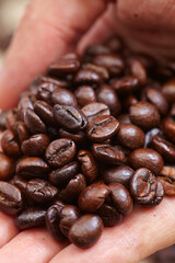 coffee beans in the spoon