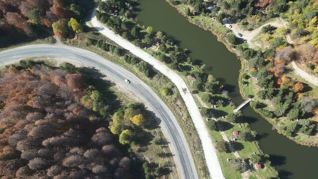 Aerial view of road amidst trees during autumn
