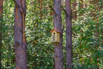 Birdhouse or bird box with natural green leaves background. Selective focus