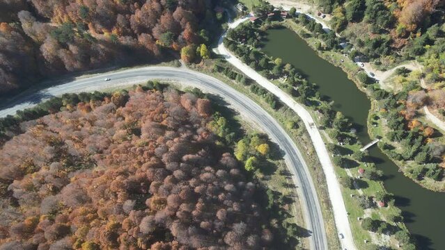 Aerial view of road amidst trees during autumn
