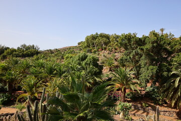 Fototapeta na wymiar The Fuerteventura Botanical Garden 