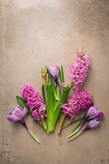 Sprinh time background with flowers crocus and - 548002044