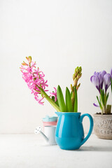 Naklejka na ściany i meble Spring background flowers hyacinth and crocuses light surface